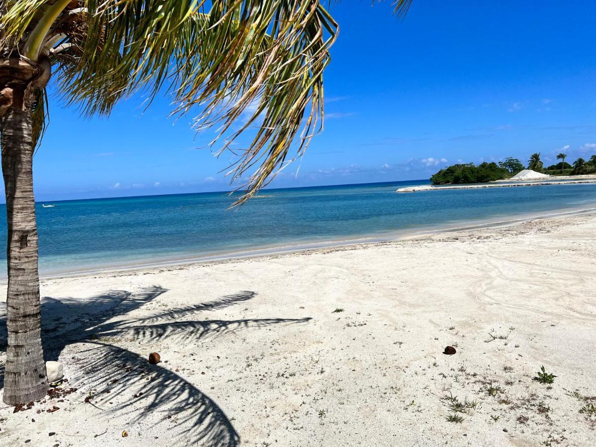 Richmond Ocho Rios Ocean Escape 아파트 외부 사진